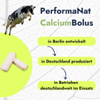 CalciumBolus Fakten. In Deutschland produziert.