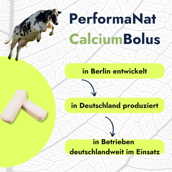CalciumBolus Fakten. In Deutschland produziert.