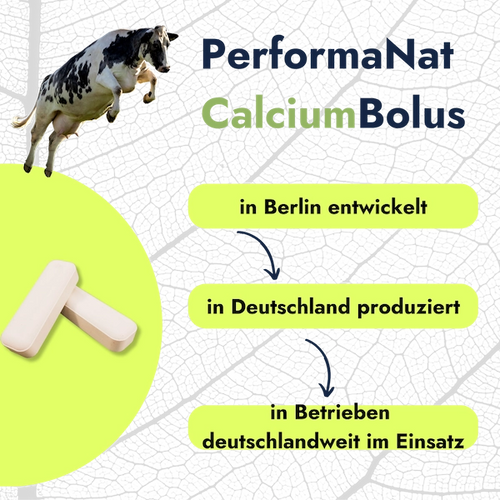 CalciumBolus Fakten. In Deutschland produziert.