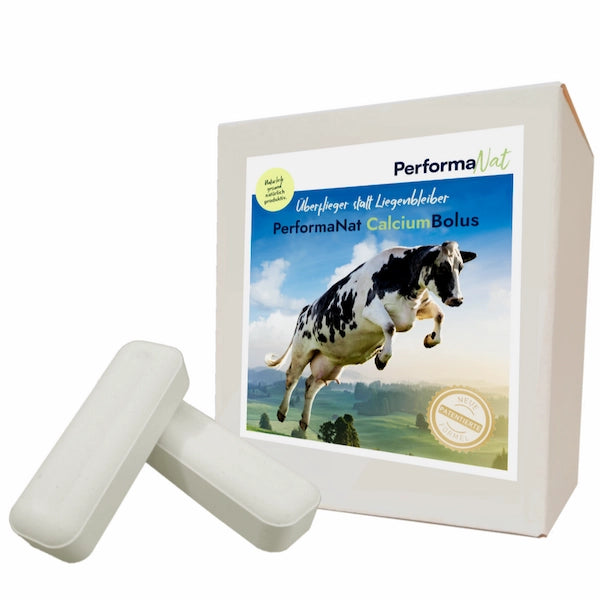 Produktbild vom CalciumBolus. Produkt zur Verringerung von Milchfieber.