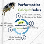 CalciumBolus. Infografik zur Eingabe.