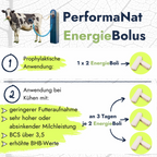 Energiebolus Infografik. Futteraufnahme und Eingabe. Je 2 an 3 Tagen.