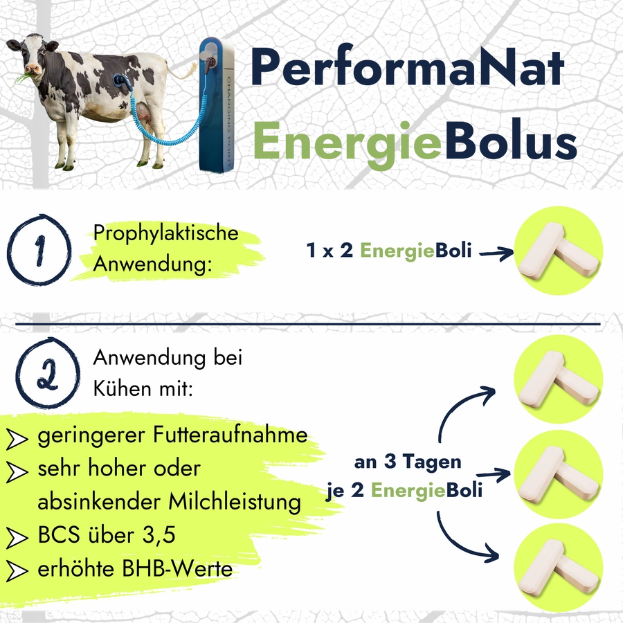Energiebolus Infografik. Futteraufnahme und Eingabe. Je 2 an 3 Tagen.