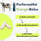 Energiebolus Infografik. PerformaNat in Betrieben deutschlandweit.
