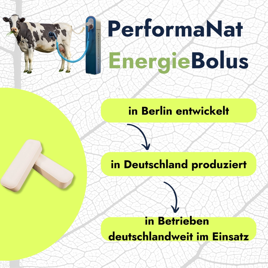 Energiebolus Infografik. PerformaNat in Betrieben deutschlandweit.
