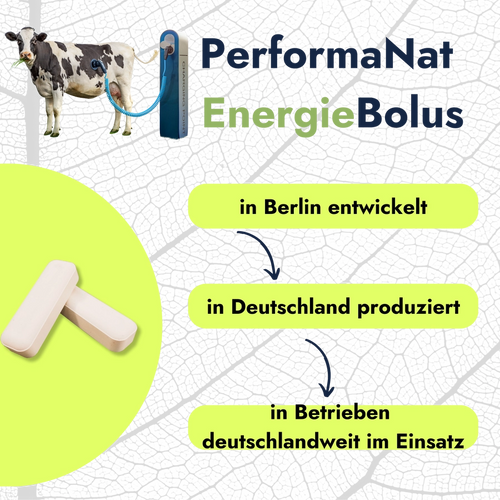 Energiebolus Infografik. PerformaNat in Betrieben deutschlandweit.
