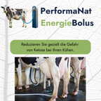 Energiebolus Infografik. EnergieBolus reduziert Ketosegefahr.