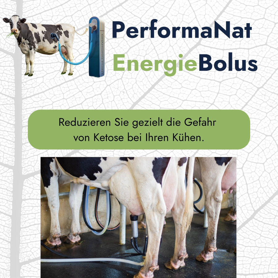 Energiebolus Infografik. EnergieBolus reduziert Ketosegefahr.