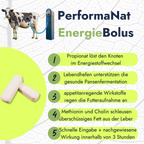 Energiebolus Infografik. Vorteile vom EnergieBolus.