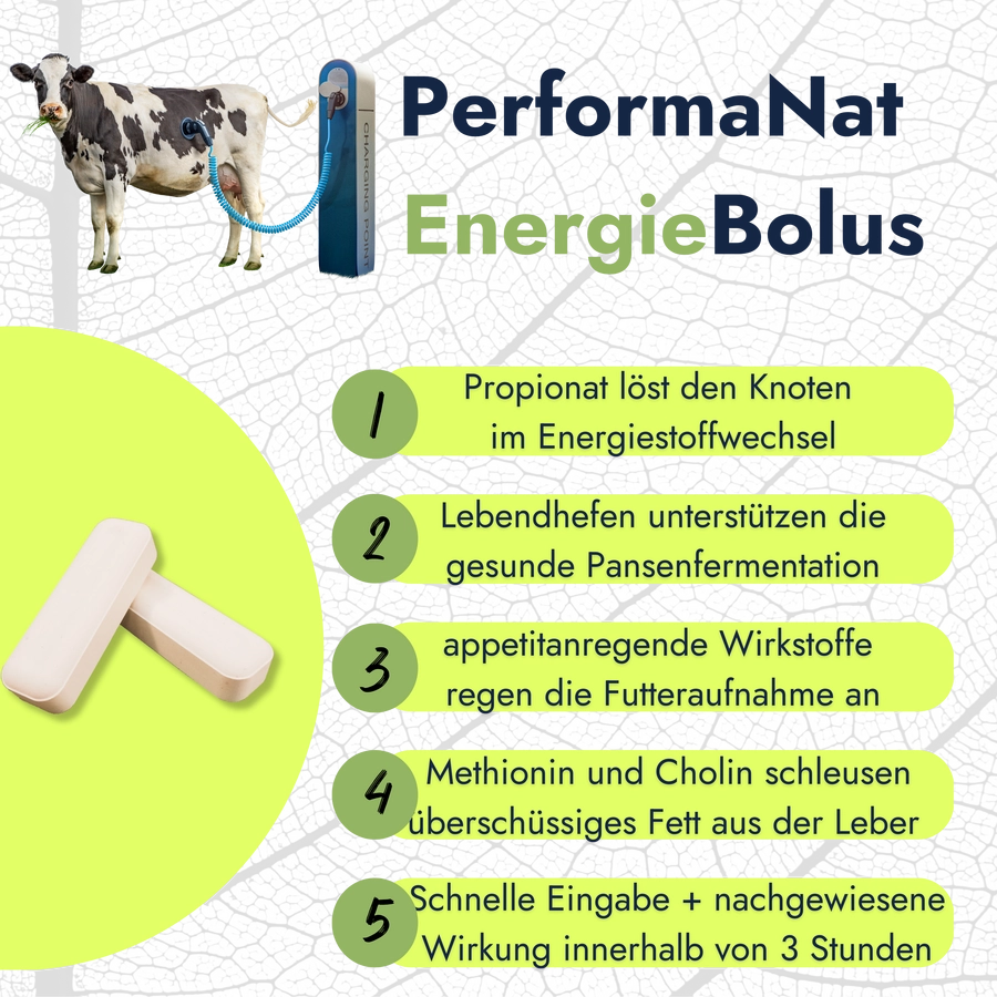Energiebolus Infografik. Vorteile vom EnergieBolus.
