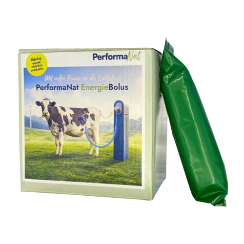 Energiebolus Produktbild. Ketosegefahr reduzieren.