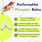 PhosphorBolus (12er Packung)