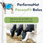 Pansenfit Bolus Infografik. Reduziert Gefahr von Azidose.