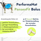 Pansenfit BOlus Infografik. Futteraufnahme und Eingabe. 2 PansenFitBoli bis zu Wiederherstellung.
