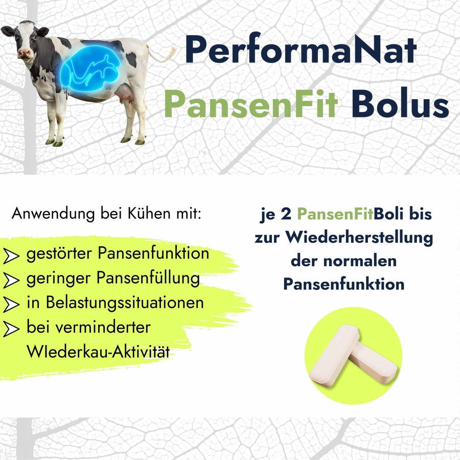 Pansenfit BOlus Infografik. Futteraufnahme und Eingabe. 2 PansenFitBoli bis zu Wiederherstellung.