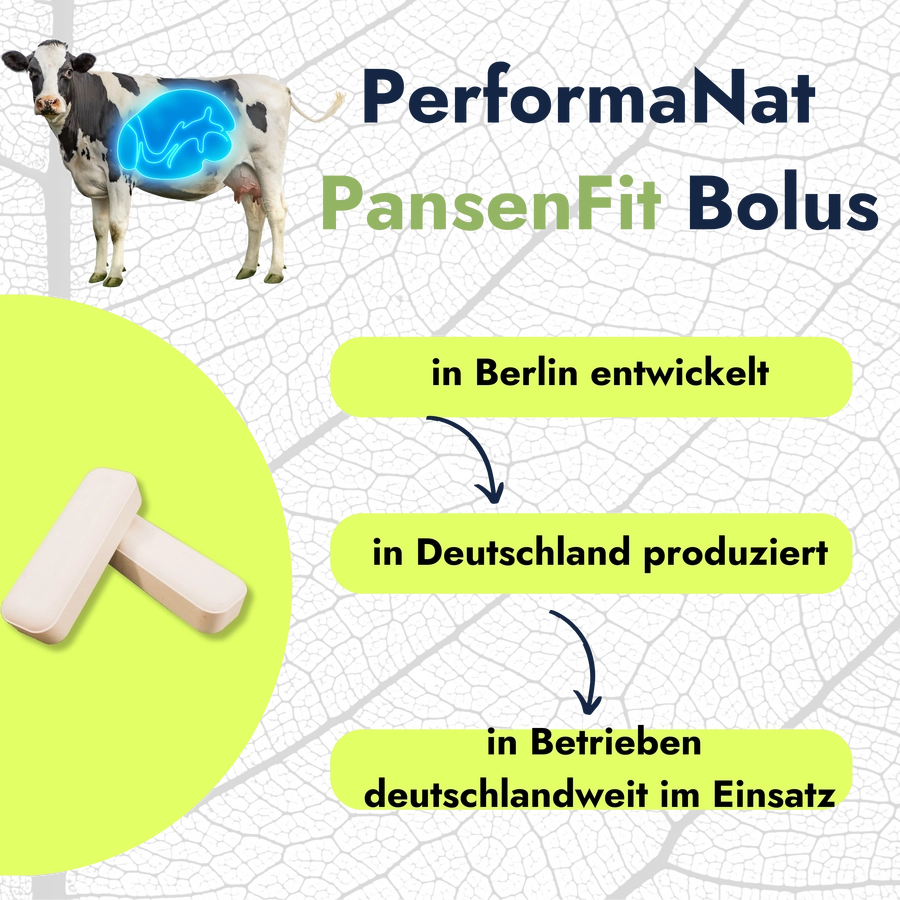 Pansenfit Bolus Infografik. PerformaNat in Betrieben deutschlandweit.