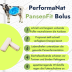 Pansenfit Bolus Infografik. Vorteile vom Pansenfit Bolus.