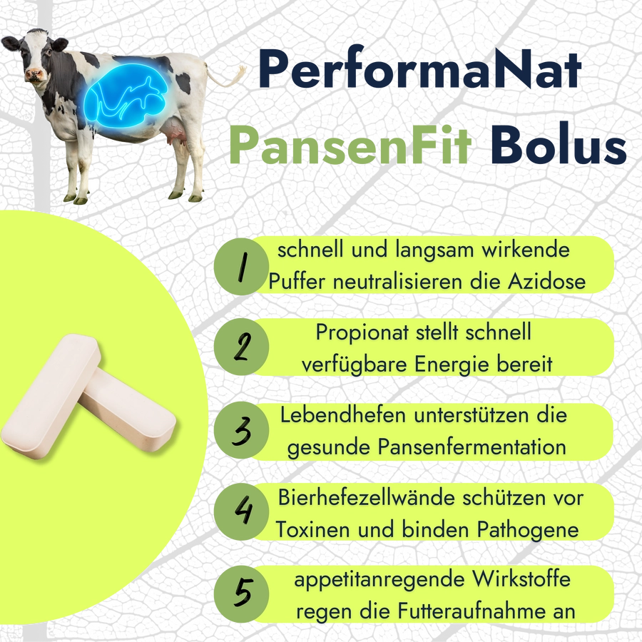 Pansenfit Bolus Infografik. Vorteile vom Pansenfit Bolus.