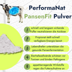 PansenFi Pulver Infografik. Vorteile vom Pulver.