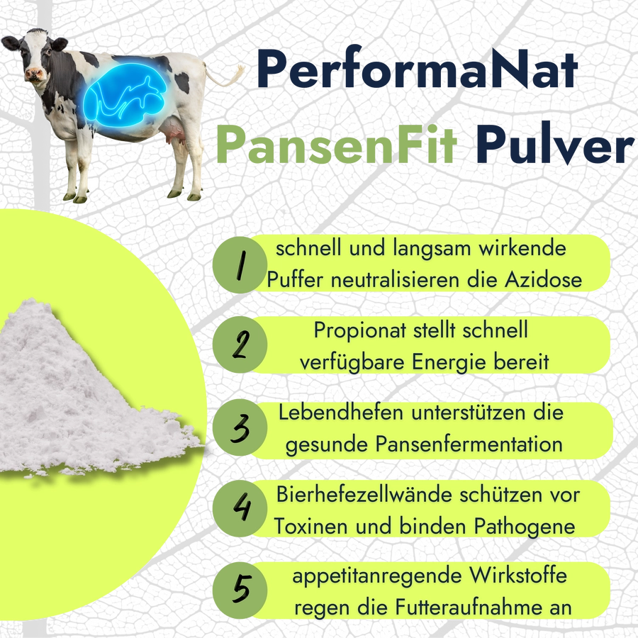 PansenFi Pulver Infografik. Vorteile vom Pulver.
