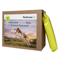 PhosphorBolus (12er Packung)