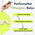 PhosphorBolus (12er Packung)