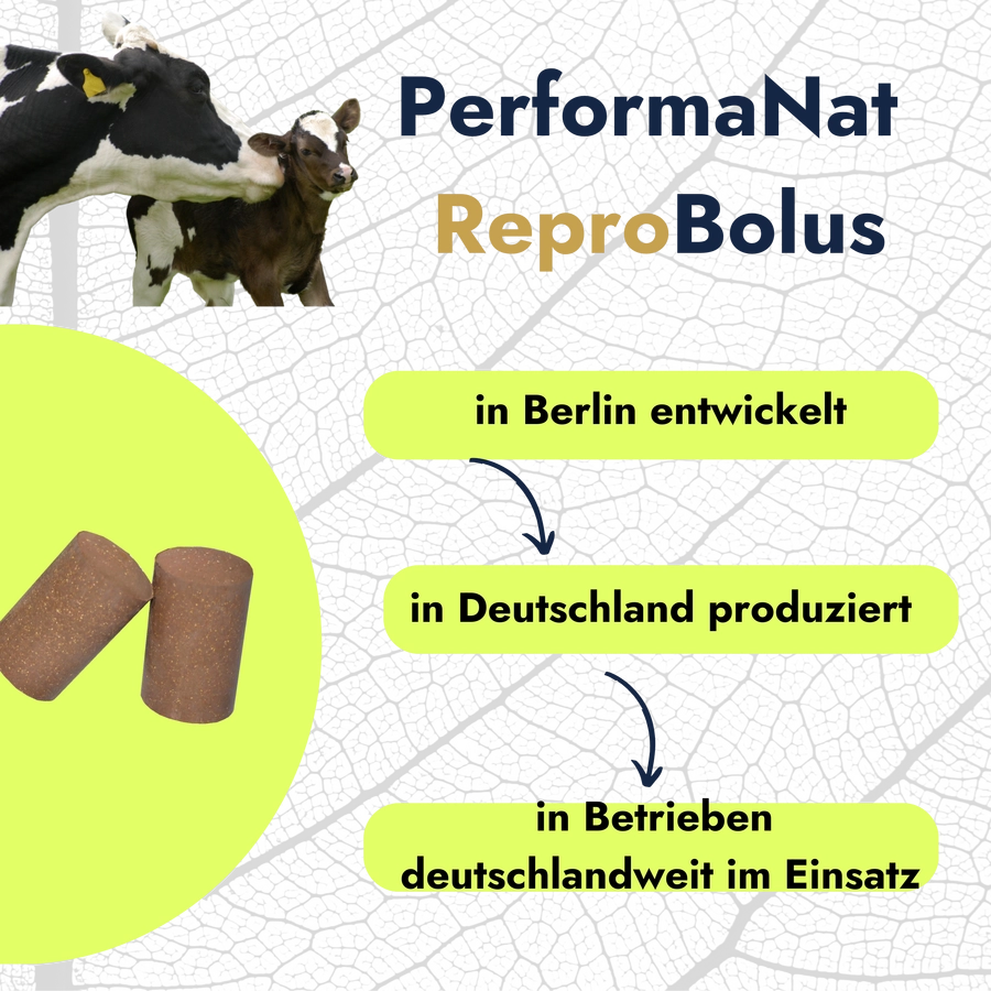 ReproBolus Infografik. PerformaNat in Betrieben deutschlandweit.