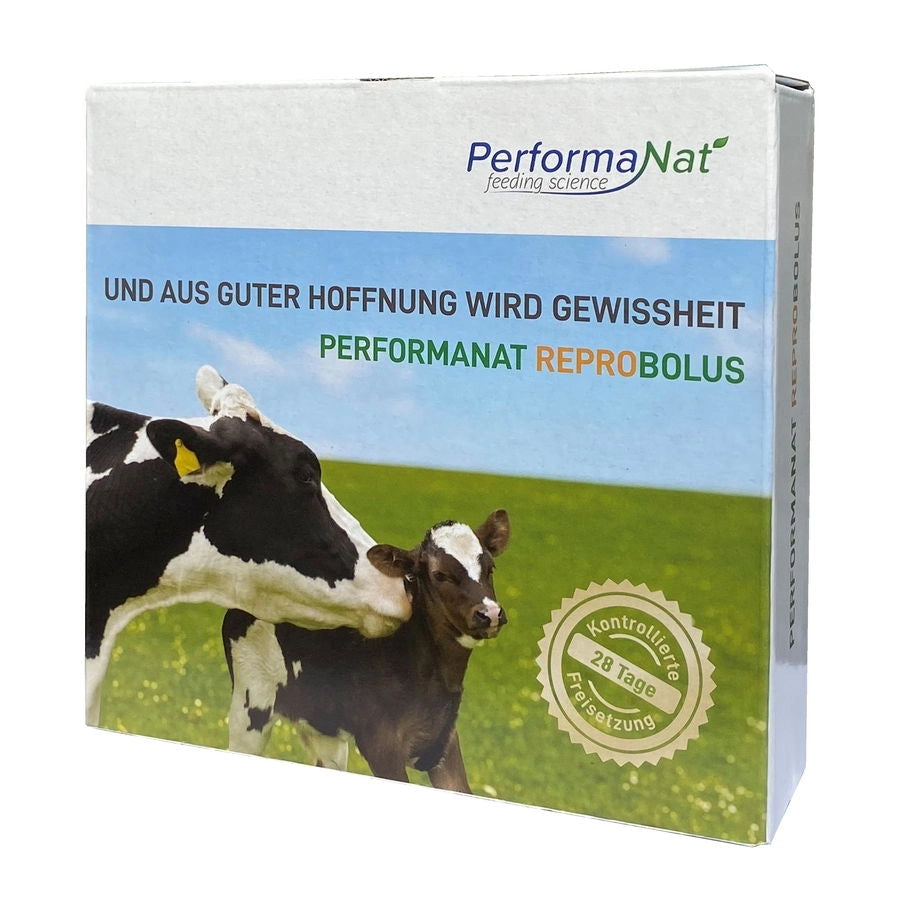 ReproBolus Produktbild. Fruchtbarkeit steigern.