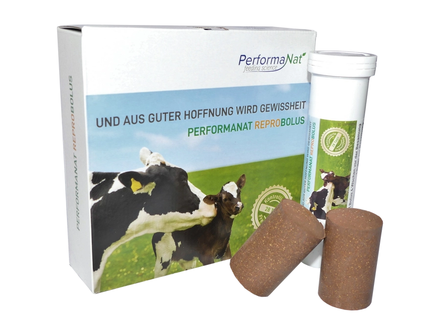 ReproBolus Produktbild. Fruchtbarkeit steigern. Außenverpackung mit Inhalt.