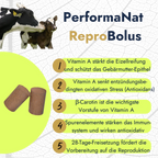 ReproBolus Infografik. Vorteile vom ReproBolus.