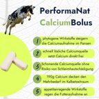 CalciumBolus Infografik. Vorteile von Performanat Produkt.