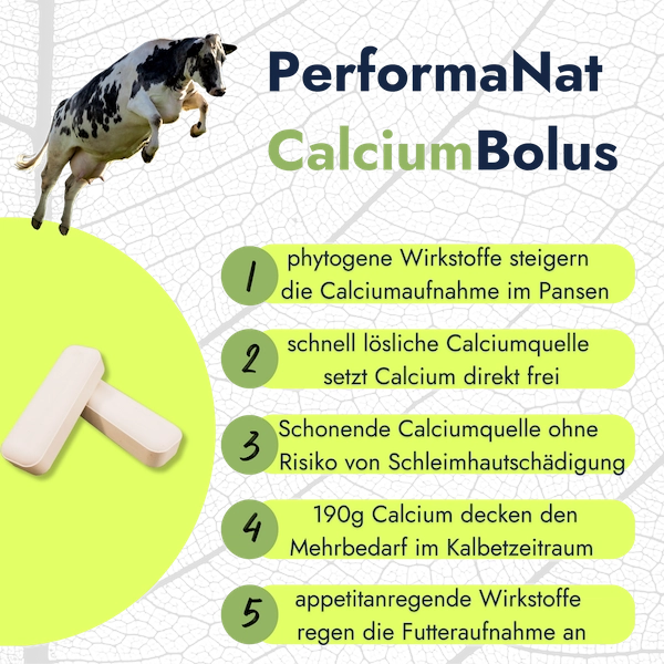CalciumBolus Infografik. Vorteile von Performanat Produkt.